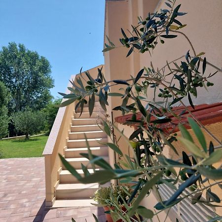 Novouredeni Apartman Marko Mundanije Exterior foto