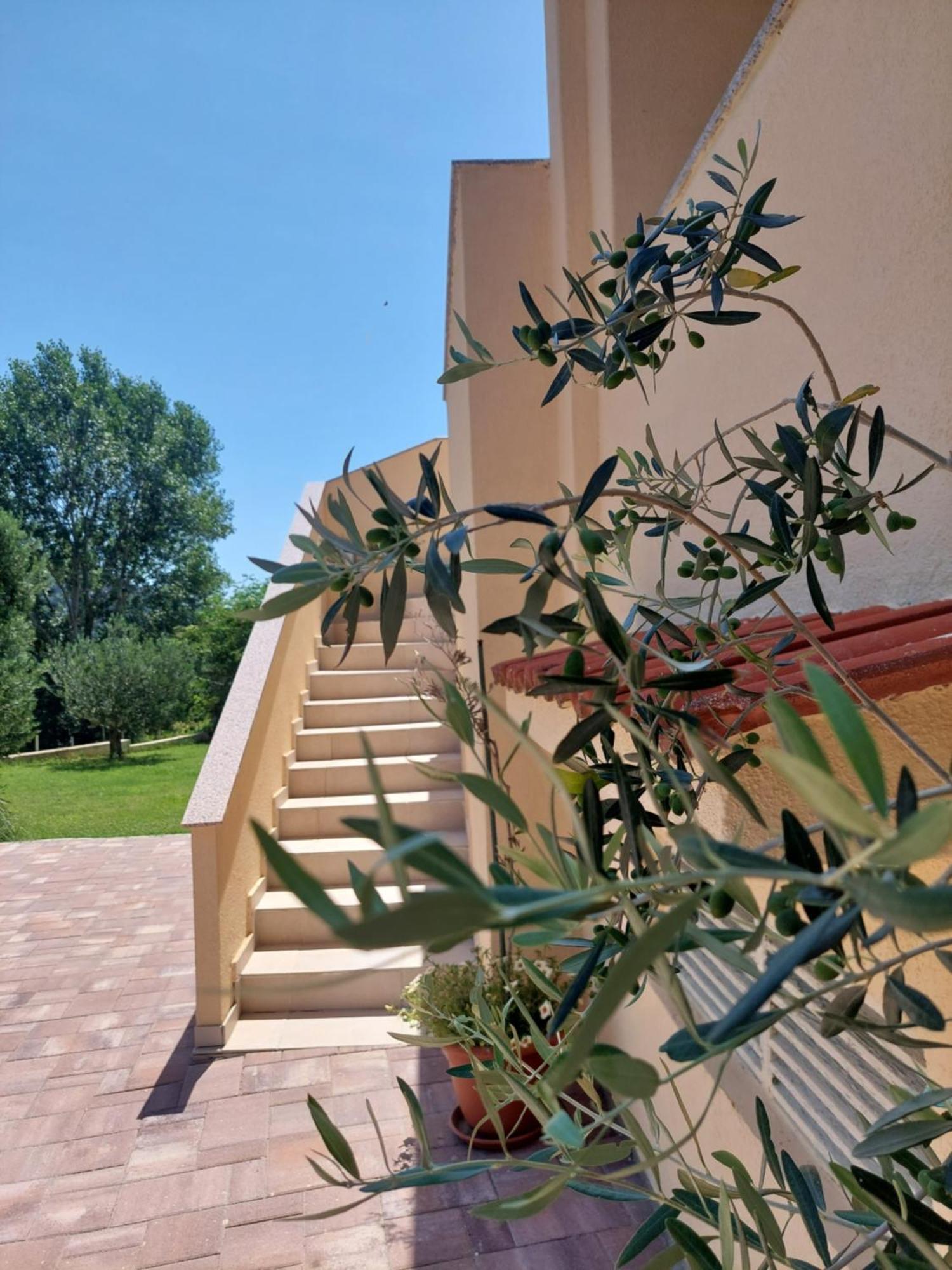 Novouredeni Apartman Marko Mundanije Exterior foto